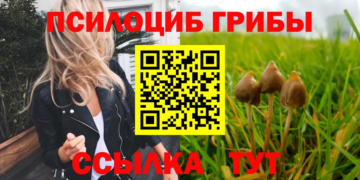 Галлюциногенные грибы ЛСД  Вход с VPN  Галлюциногенные грибы MAGIC MUSHROOMS  Вологда 