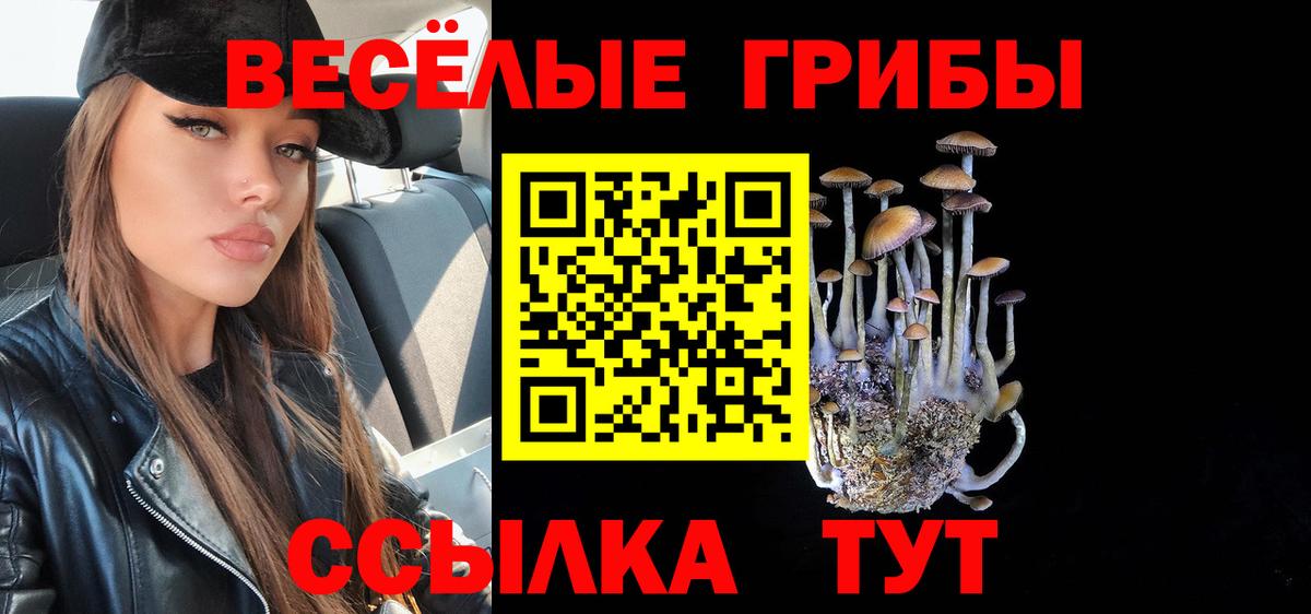 Псилоцибиновые грибы Psilocybe Вологда